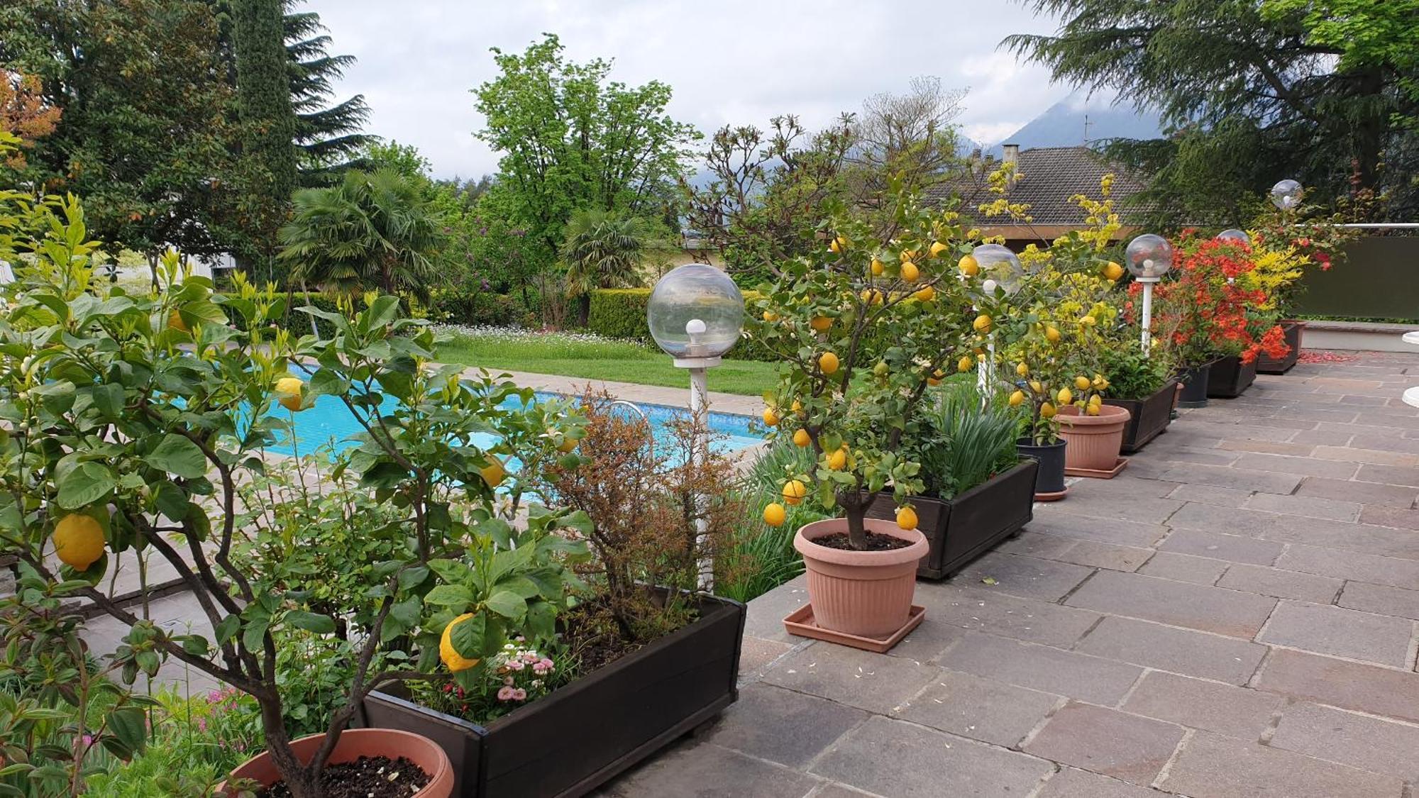 Hotel Tiffany Merano Luaran gambar